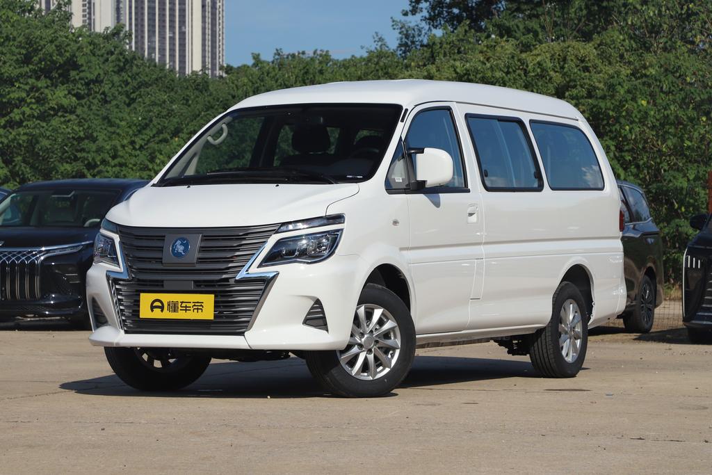460km pure electric basic type 9 seats