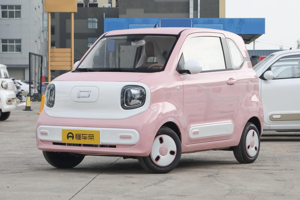 222km colorful horse