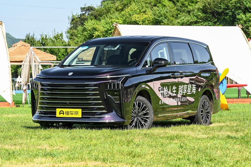 1.5TD Yuexiang Series 200km Luxury Type