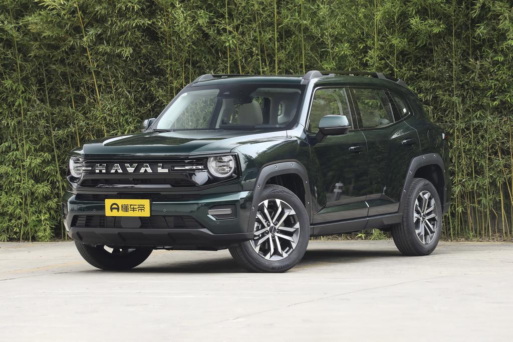 1.5T two-wheel drive trendy fun version