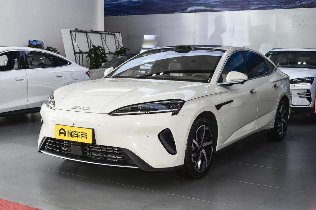 DM-i 230KM flagship type