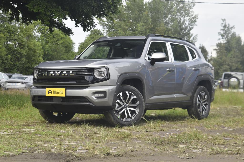 2.0T two-wheel drive tide wild version