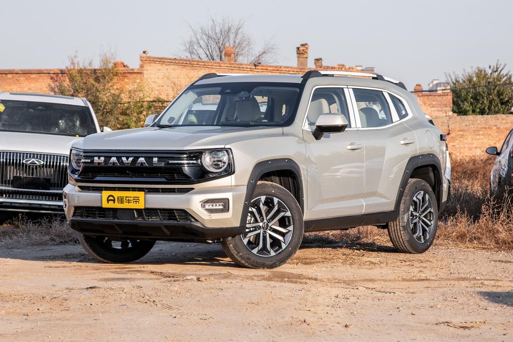 2.0T two-wheel drive tide wild version