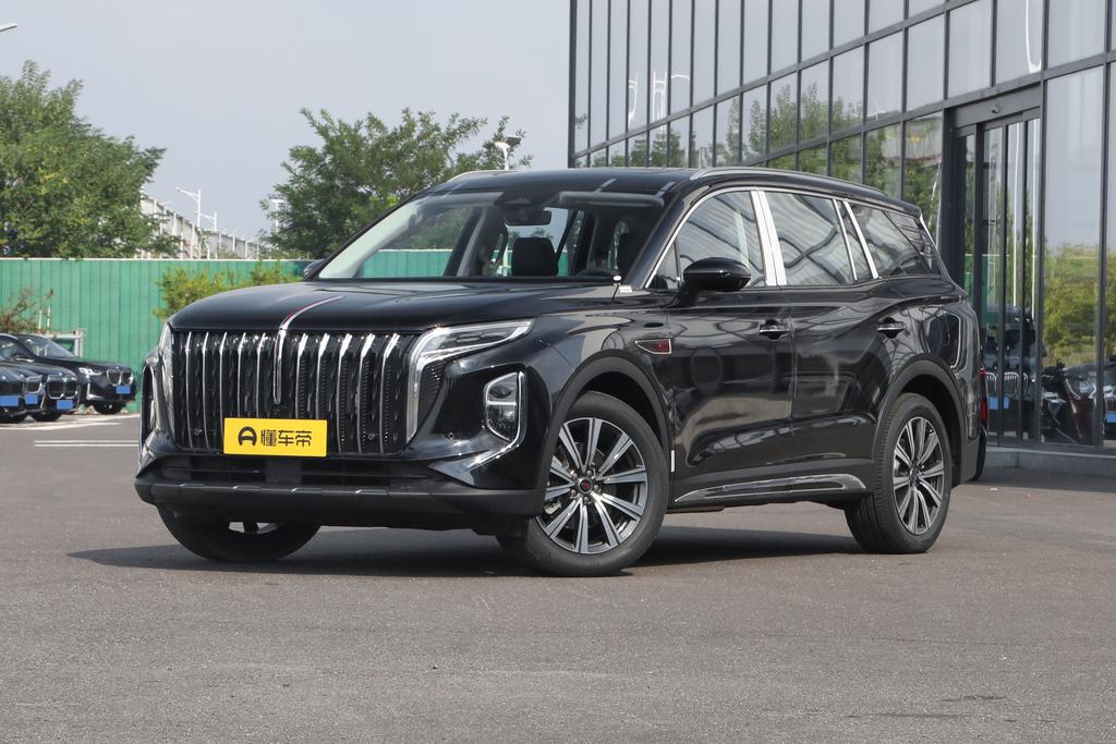 2.0T 2 million Commemorative Edition 7 seats