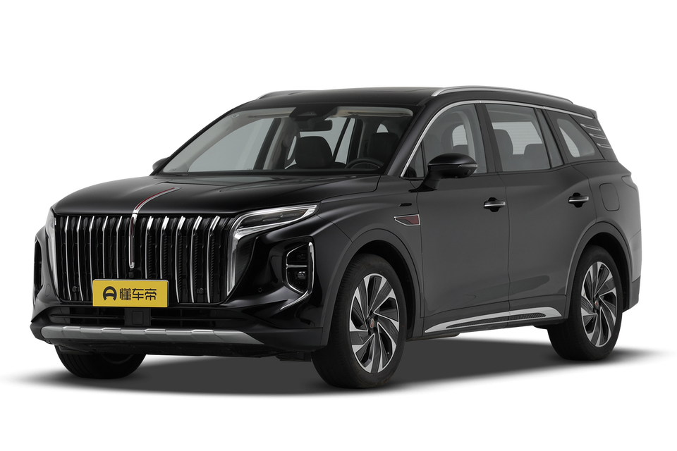 2.0T two-wheel drive flag Enjoy edition 7 seats