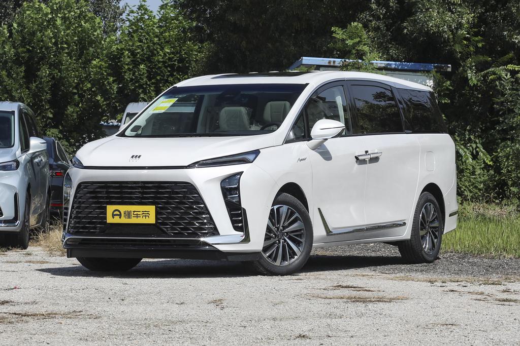 Lu Zun 2.0T Luxury Edition