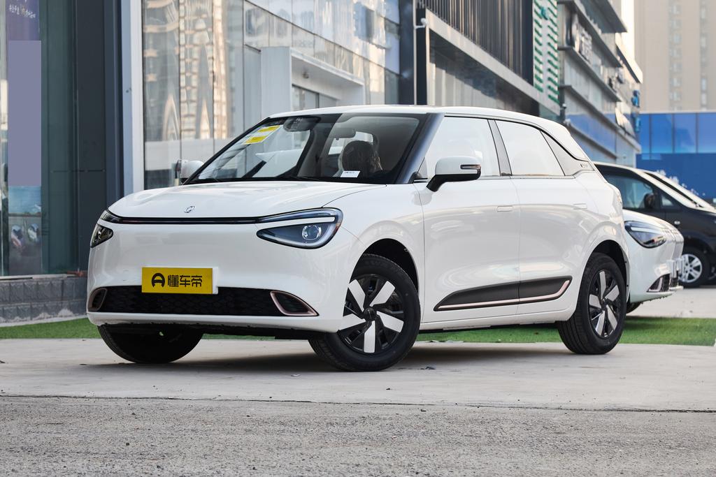 First heart model 330Fly