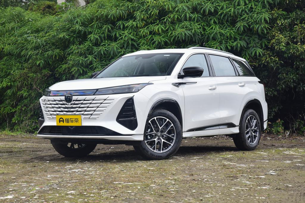 Wisdom Champion Edition 1.5T New Blue Whale Wisdom Collar Type