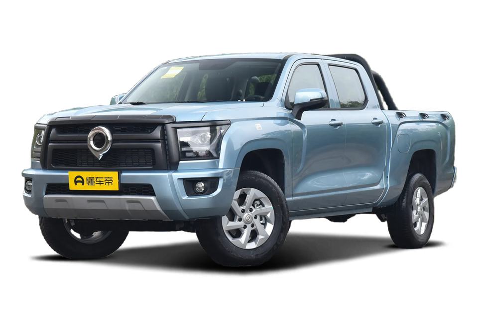 2.0T diesel manual four-wheel drive elite long box GW4D20M