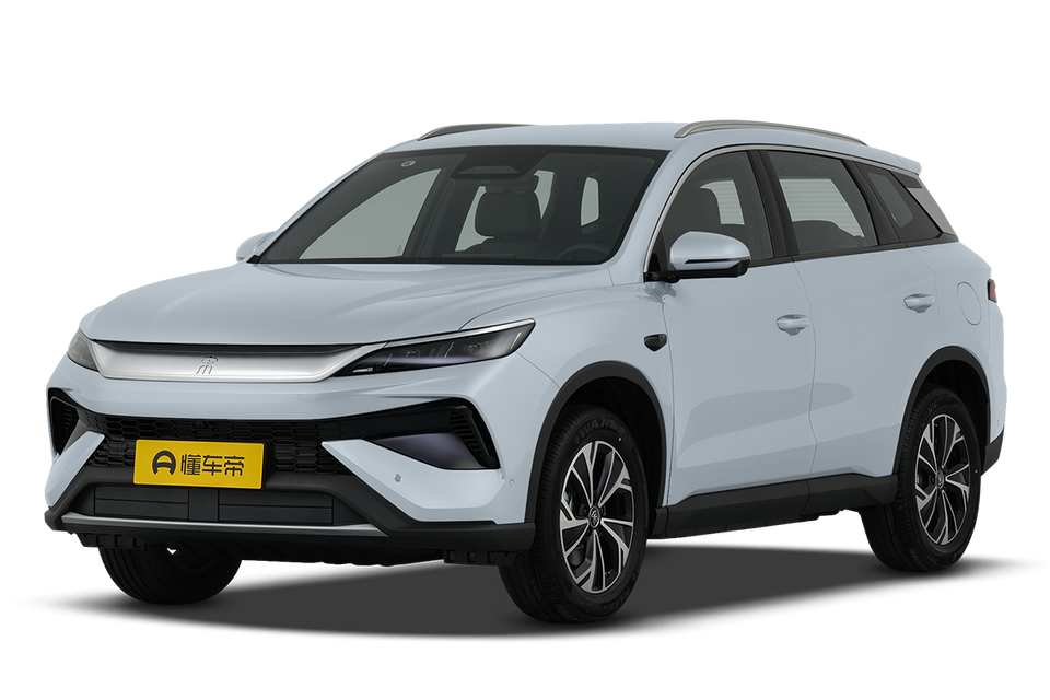 DM-i 133KM excellent type