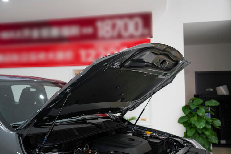 Фото машины 37