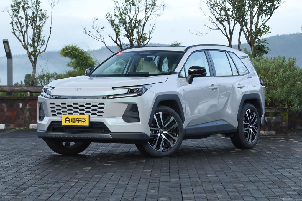 Dual engine 2.0L two-wheel drive PRO+