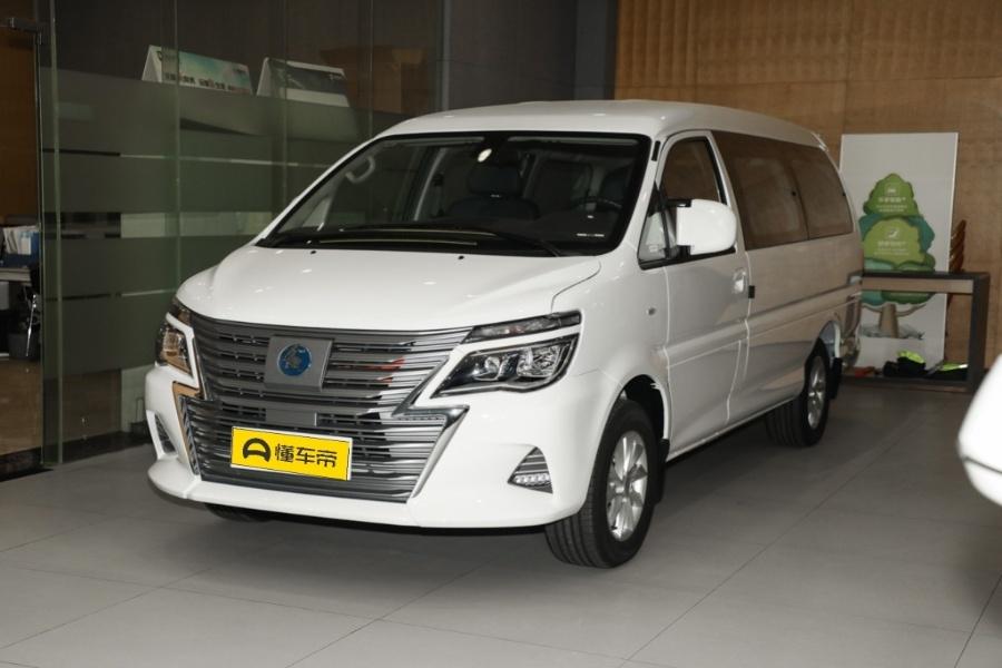 Passenger version luxury 9-seater