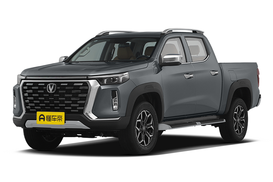 2.0T manual two-wheel drive gasoline fashion long box