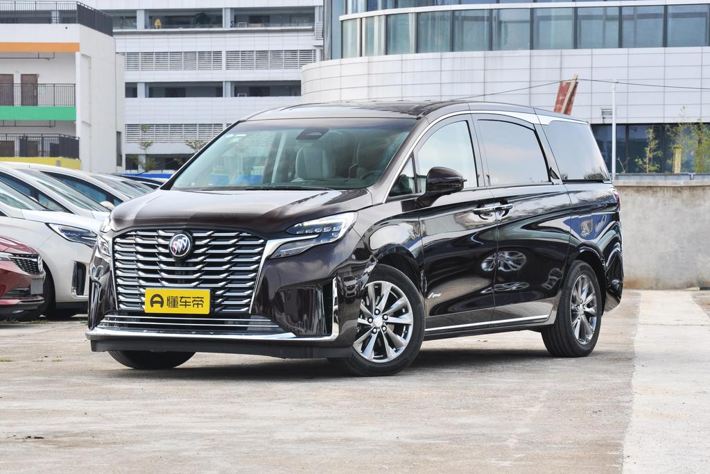Avia 2.0T Six-seater Virtuous Edition