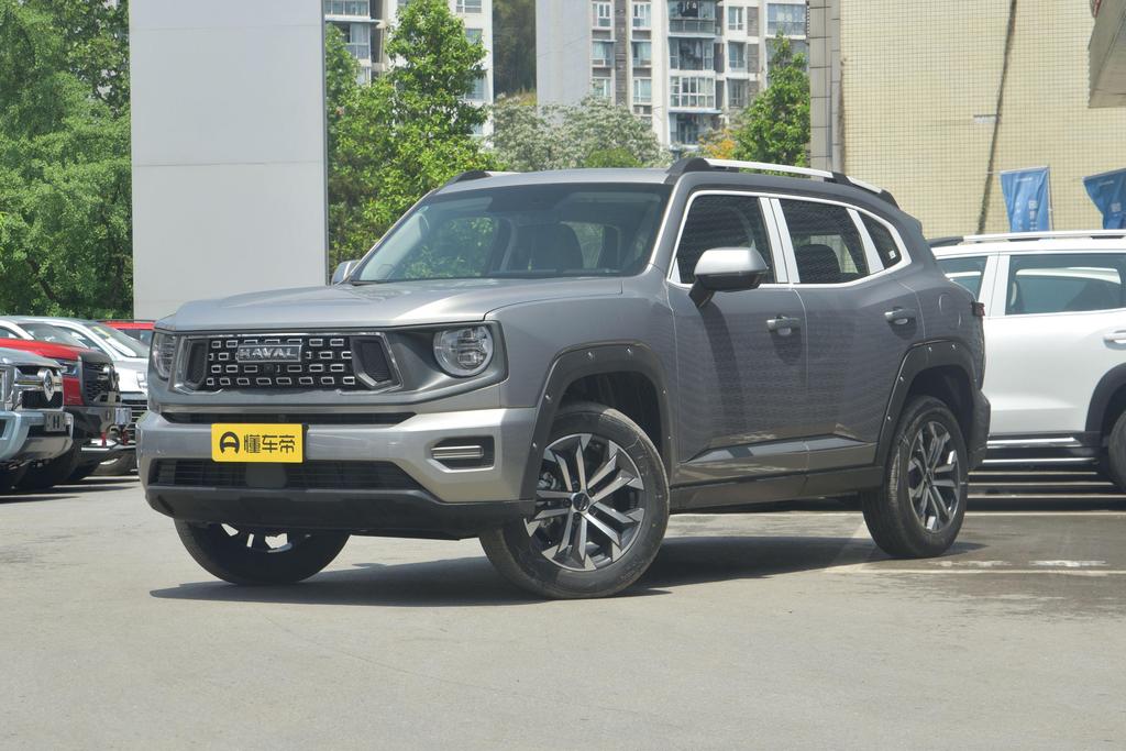 2.0T two-wheel drive tide wild version