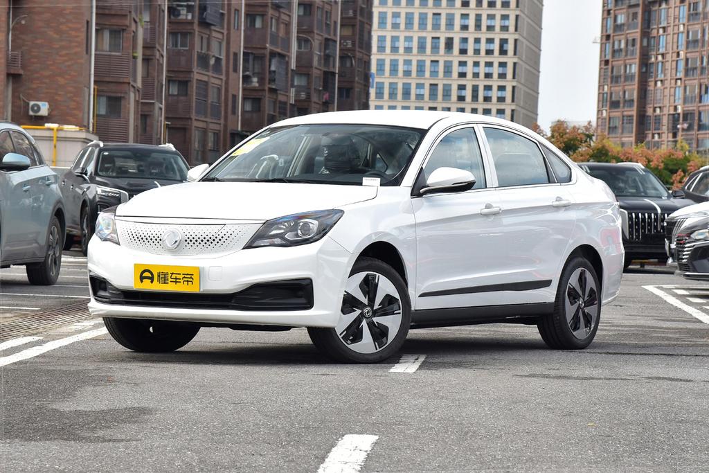 Facelifted 500 Zhixing version lithium iron phosphate 110kW