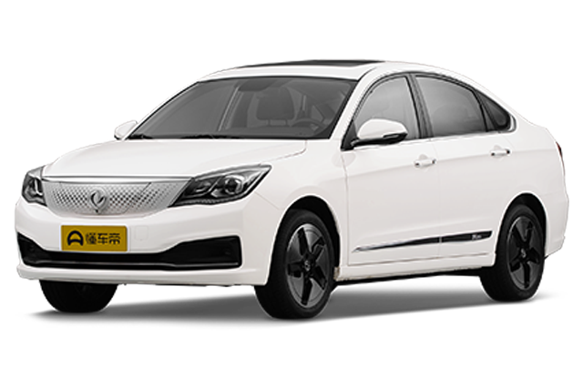 Facelifted 500 Zhixing version ternary lithium