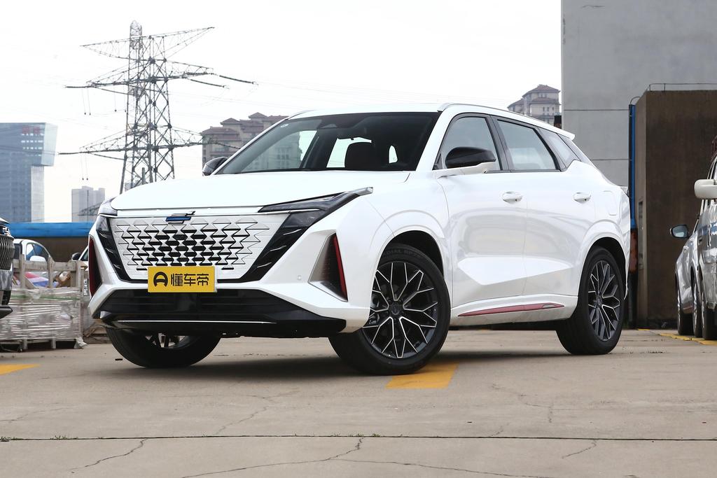 Blue Whale 2.0T Automatic Zhiyuan Type