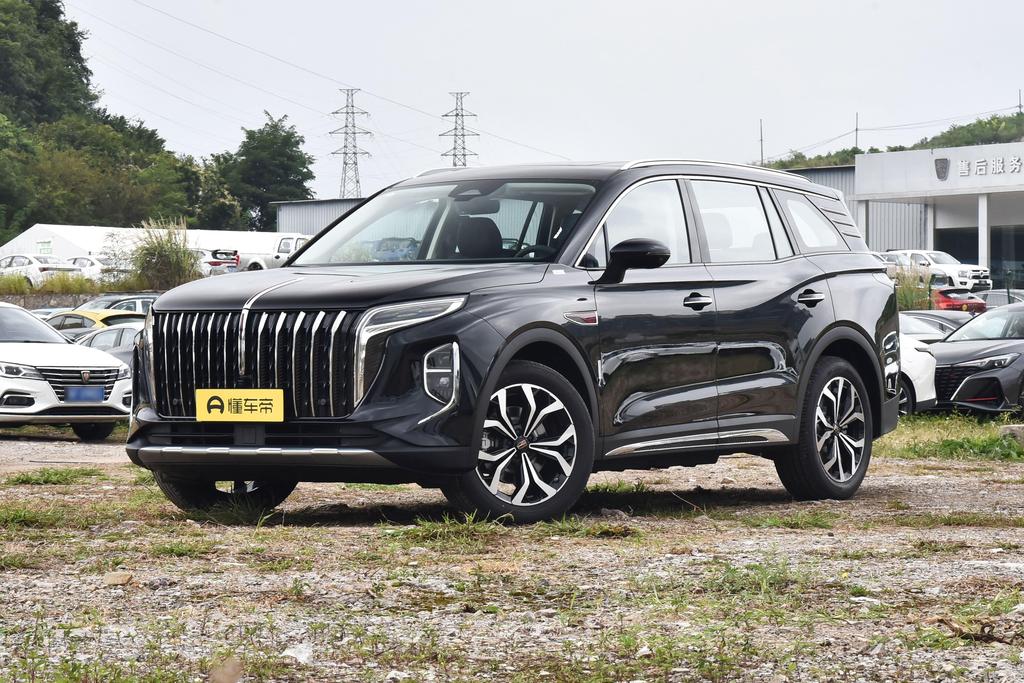 2.0T automatic two-wheel drive standard edition 7 seats