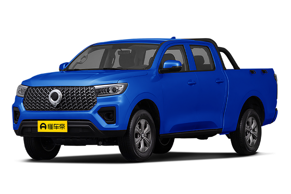 Commercial version 2.0T gasoline automatic two-wheel drive small dual elite GW4C20B