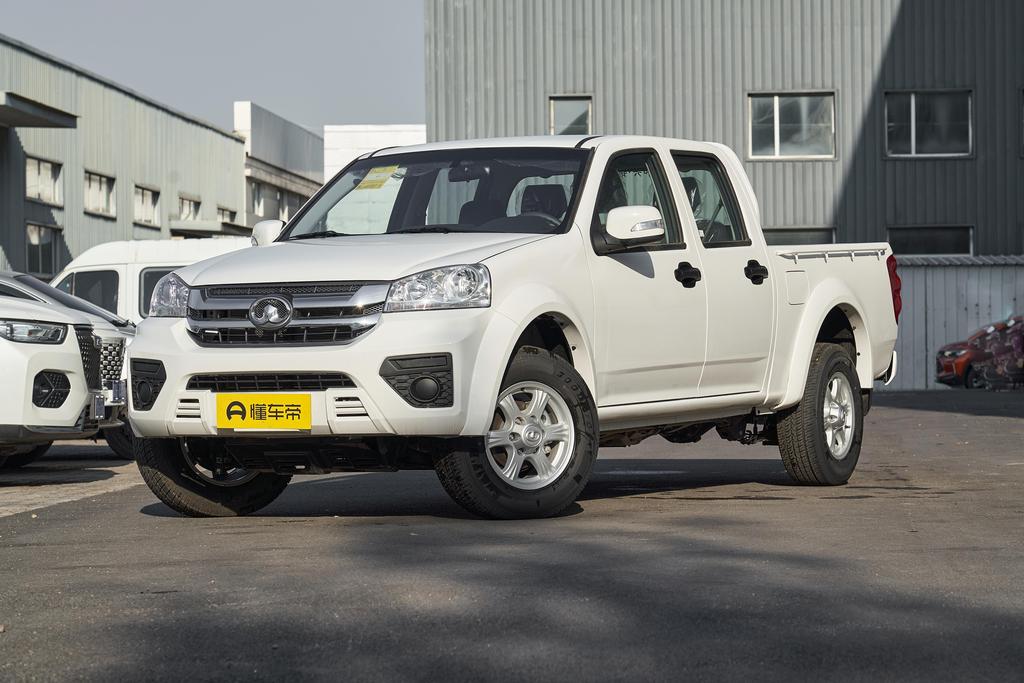 2.0T diesel two-wheel drive aggressive large double GW4D20M