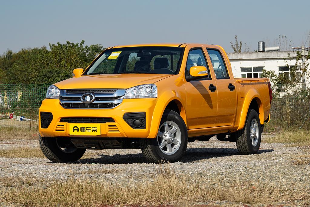 2.0T diesel two-wheel drive aggressive large double GW4D20M