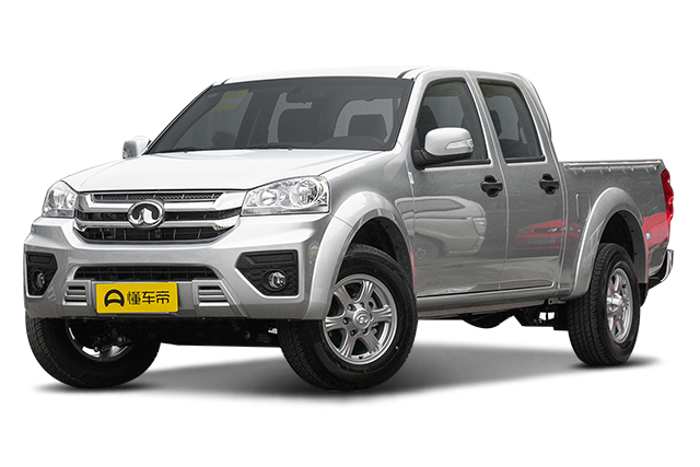 2.0T diesel two-wheel drive elite long cargo box GW4D20M