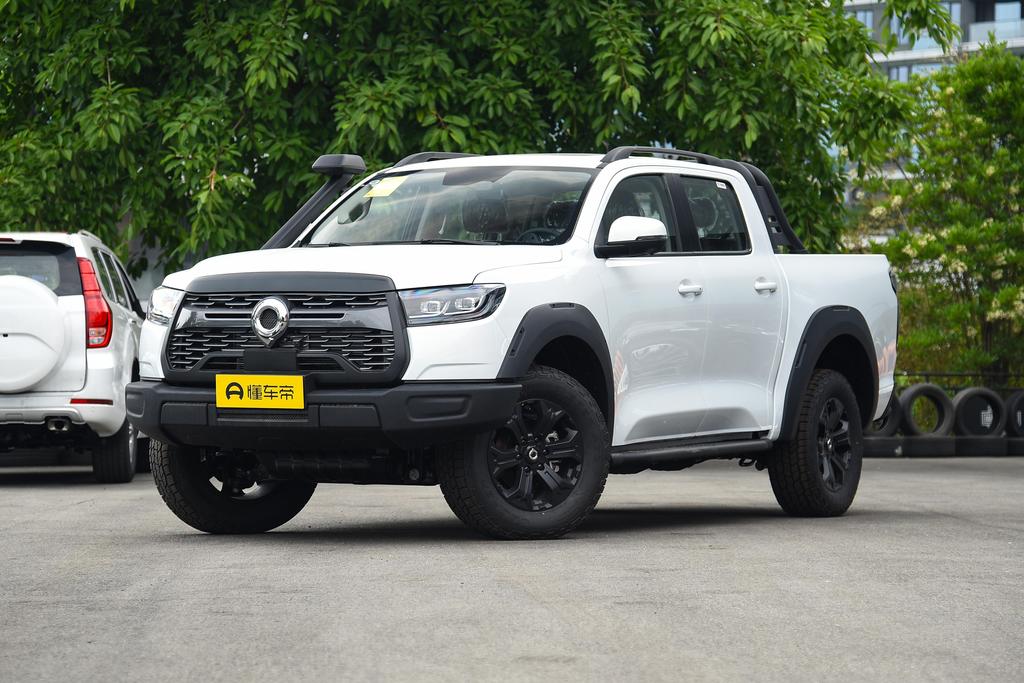 Off-road version 2.0T gasoline automatic four-wheel drive advanced version GW4C20B