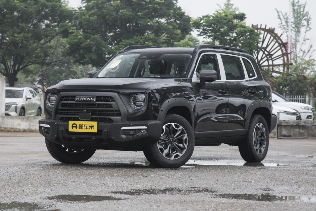 2.0T four-wheel drive Chinese Garden dog Version