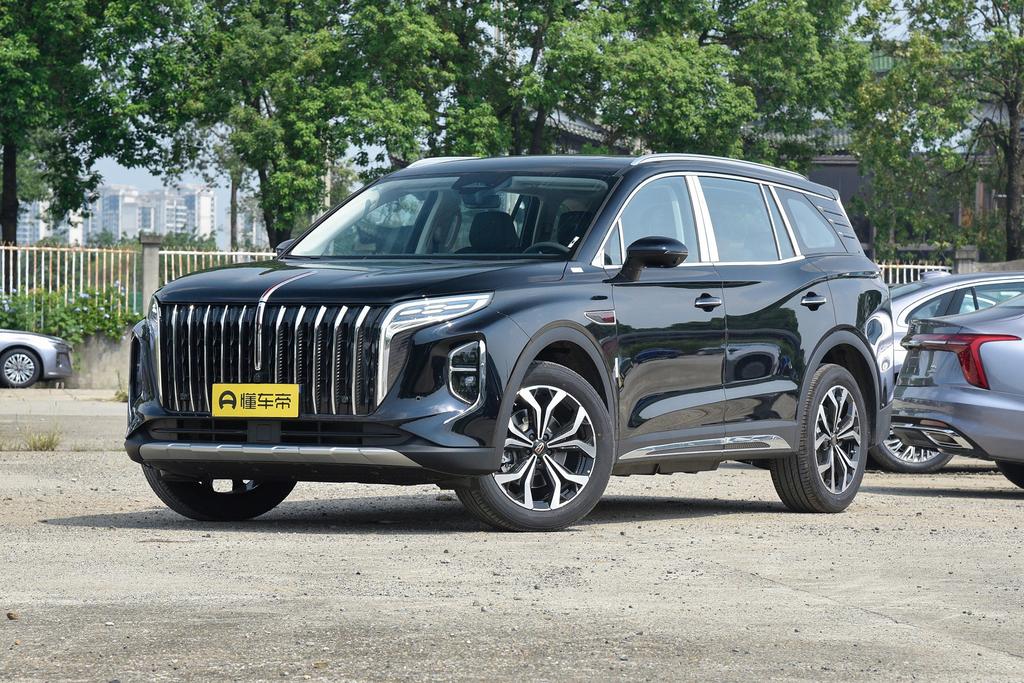 2.0T automatic two-wheel drive standard edition 6 seats