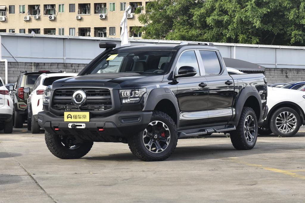 3.0T gasoline Performance Version