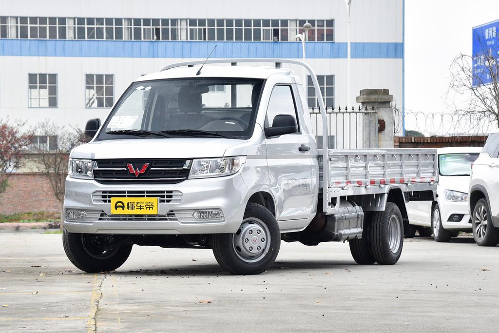 2.0L comfortable double rear wheel single row 2 seats CNG