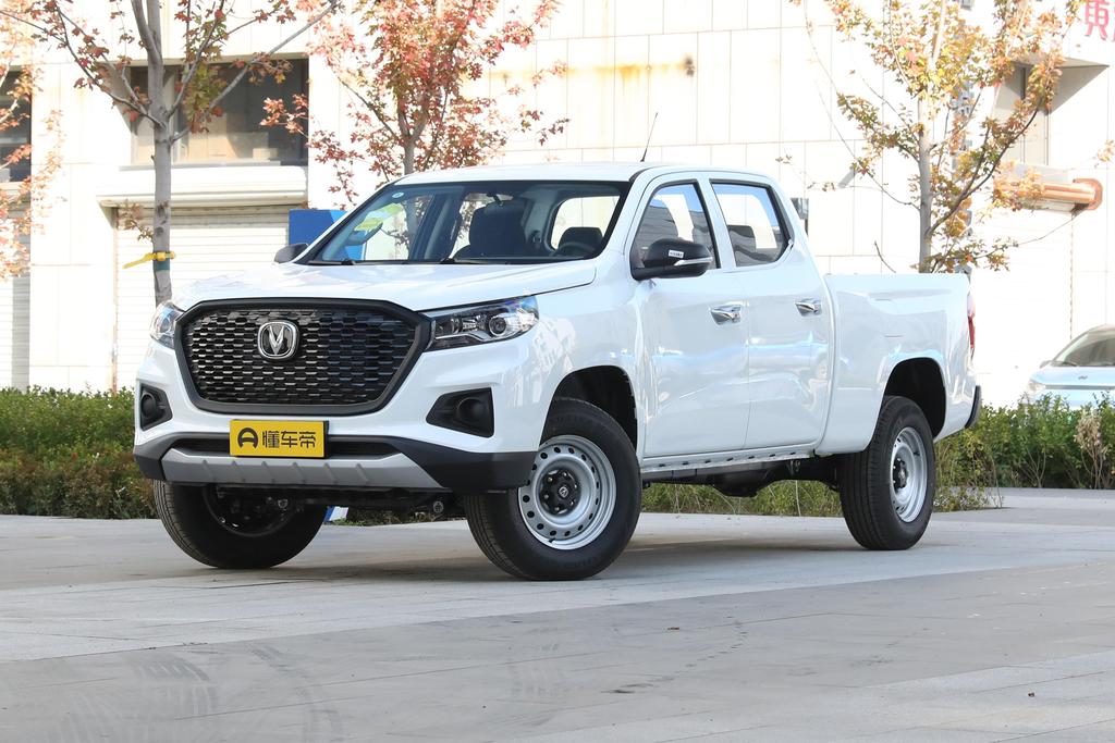 F70 Blue Whale version 2.0T gasoline automatic two-wheel drive long box wealth creation type