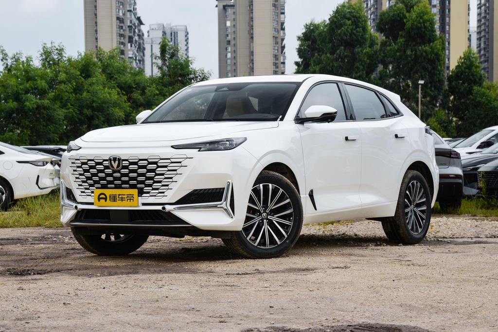 2.0T all-wheel drive pleasure type