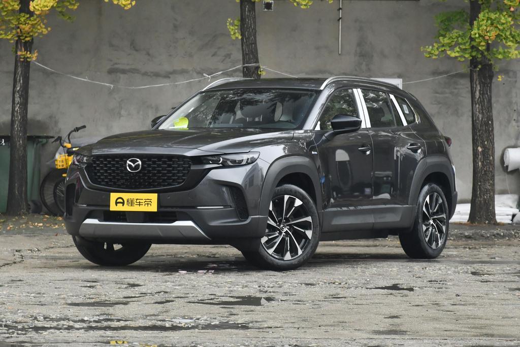 2.5L HEV two-wheel drive Anxing version