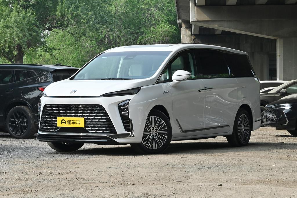 Lu Zun 1.5T Six-seater Luxury Edition