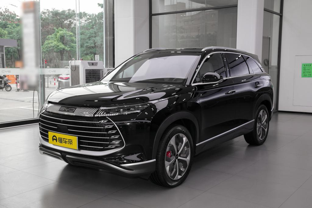 Honor edition DM-p 175KM four-wheel drive flagship model