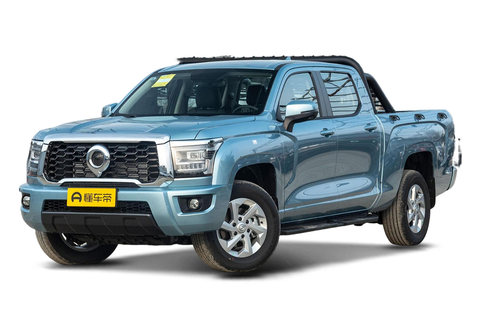2.0T gasoline manual two-wheel drive entrepreneurial long box GW4C20C
