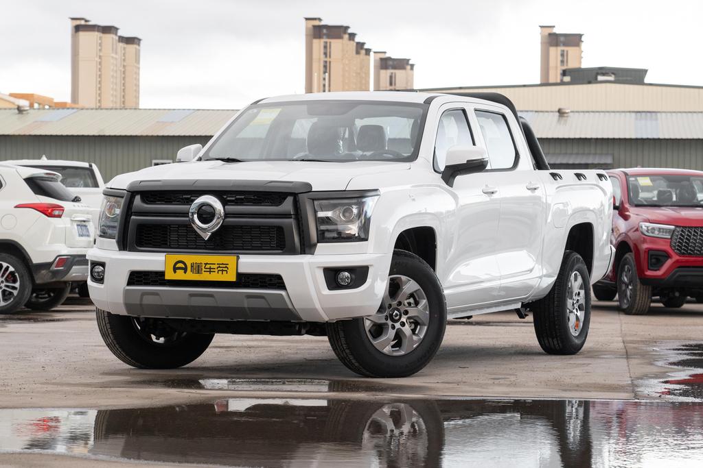 2.0T gasoline 8AT four-wheel drive elite flat box GW4C20B