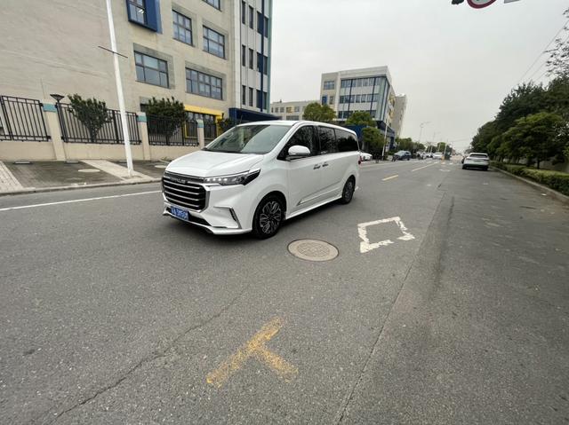Datsun G20 2020 2.0T Gasoline Auto Luxury Executive Edition National VI