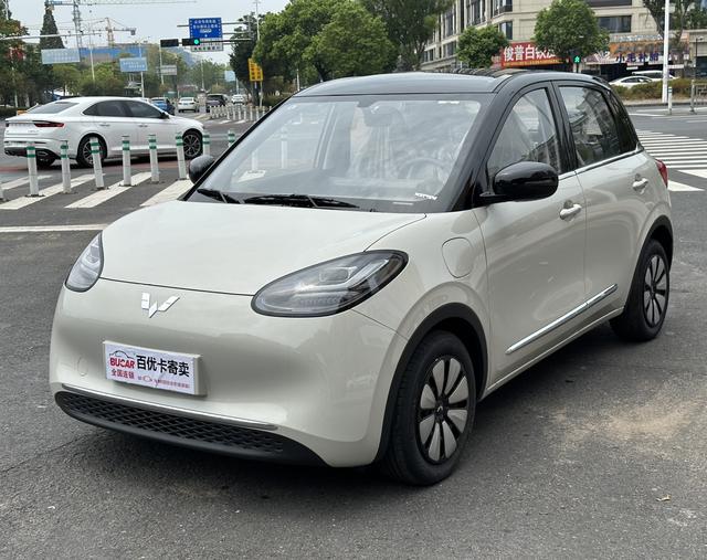 Wuling Bingguo 2024 Model 333KM Yuexiang Model