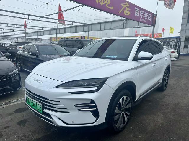 Song PLUS DM 2024 DM-i Glory Edition 110KM Flagship Model