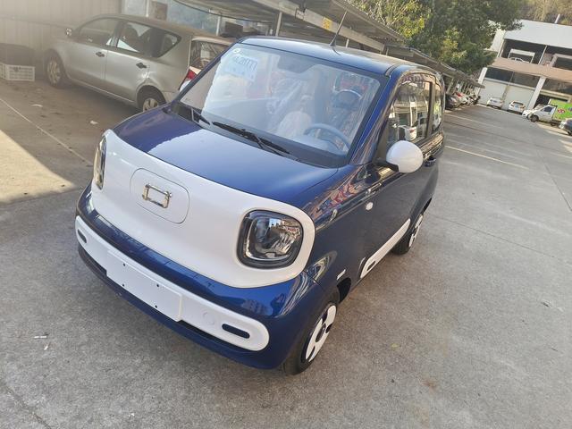 Pentium Pony 2024 222km Smart Horse