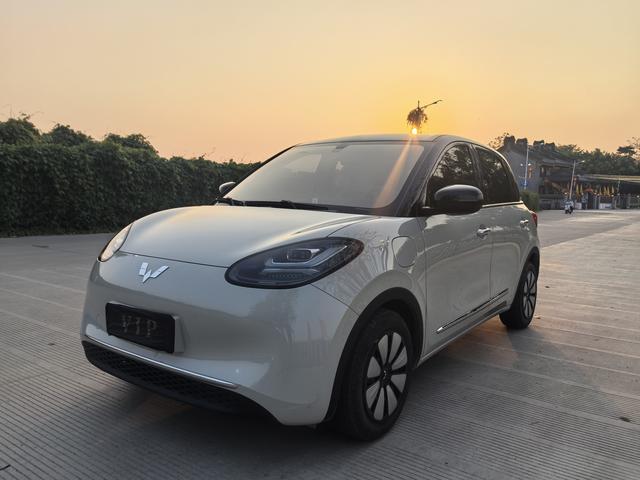 Wuling Bingguo 2024 Model 333KM Yuexiang Model