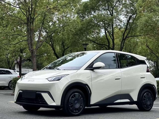 Seagull 2024 Glory Edition 305KM Vitality Edition