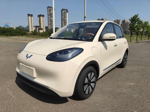 Wuling Bingguo 2025 Model 333KM Yuexiang Model
