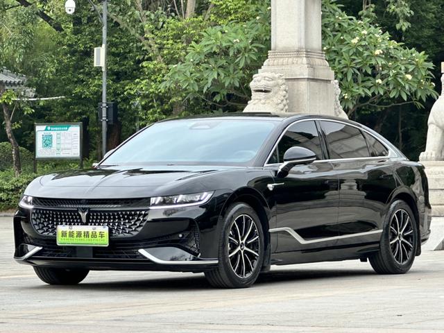 Arcturus Chase PHEV 2024 Ultra Long Range 4WD Executive Edition