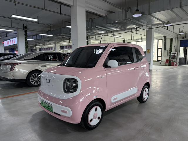 Pentium Pony 2024 222km Smart Horse