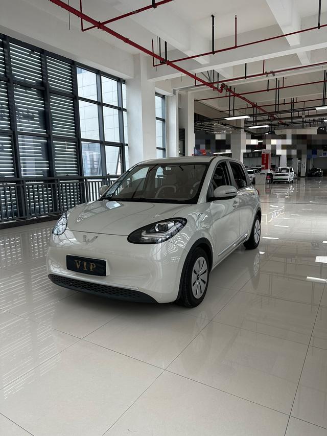 Wuling Colorado 2023 333KM Express